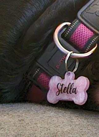 Custom Resin Dog ID Tag – Handmade Bone Design in Seasonal Colors